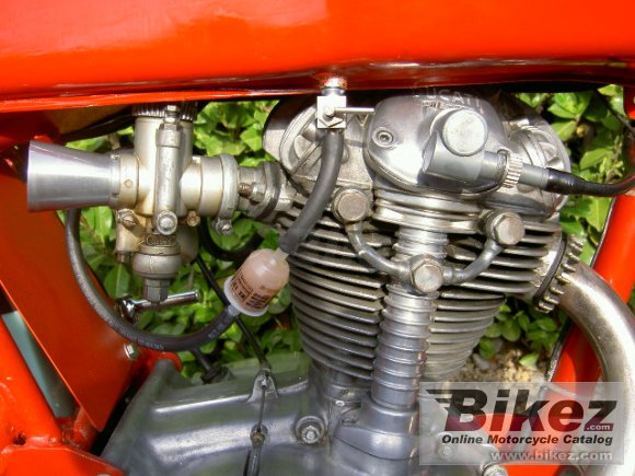 1970 Ducati 350 Mark 3 D photo